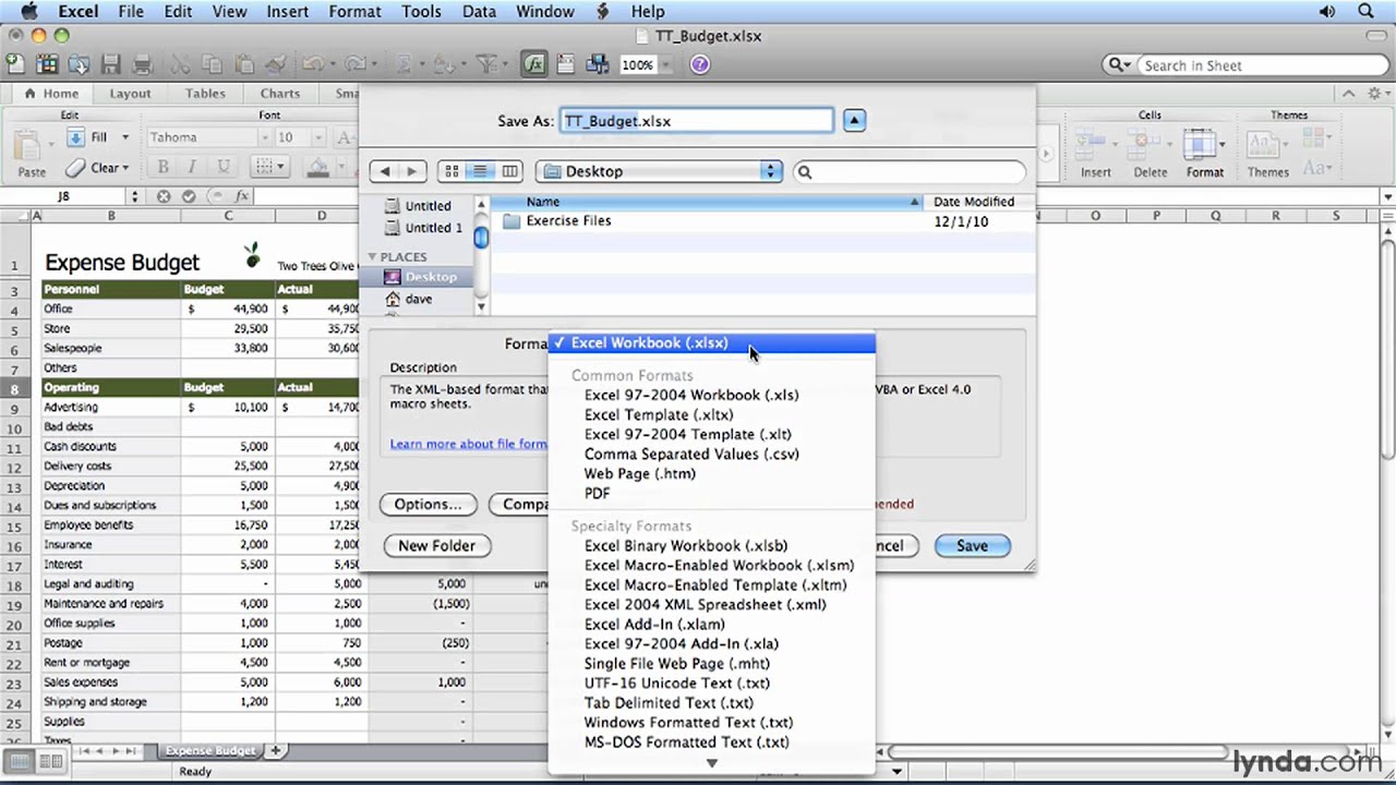excel for mac 2010